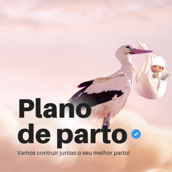 Plano de parto verificado